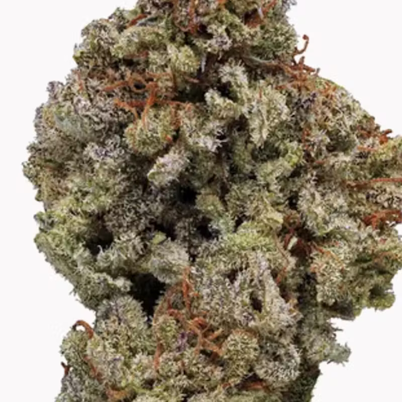 Animal: White Berry - Indica - 30.92% THC