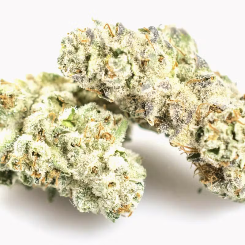 Animal: Cookies and Cream - Hybrid - 30.94% THC