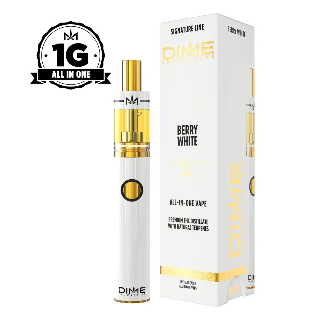 DIME | Berry White | Hybrid | 1g | All In One Device
