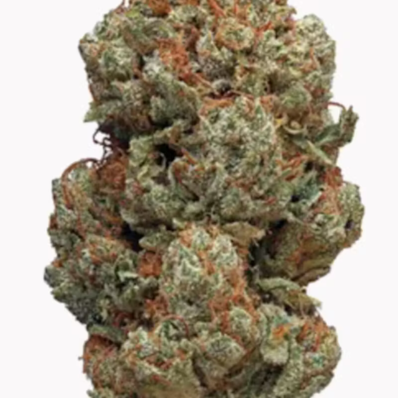 Goodfella's Farm | LEMON CHERRY GELATO 33.33