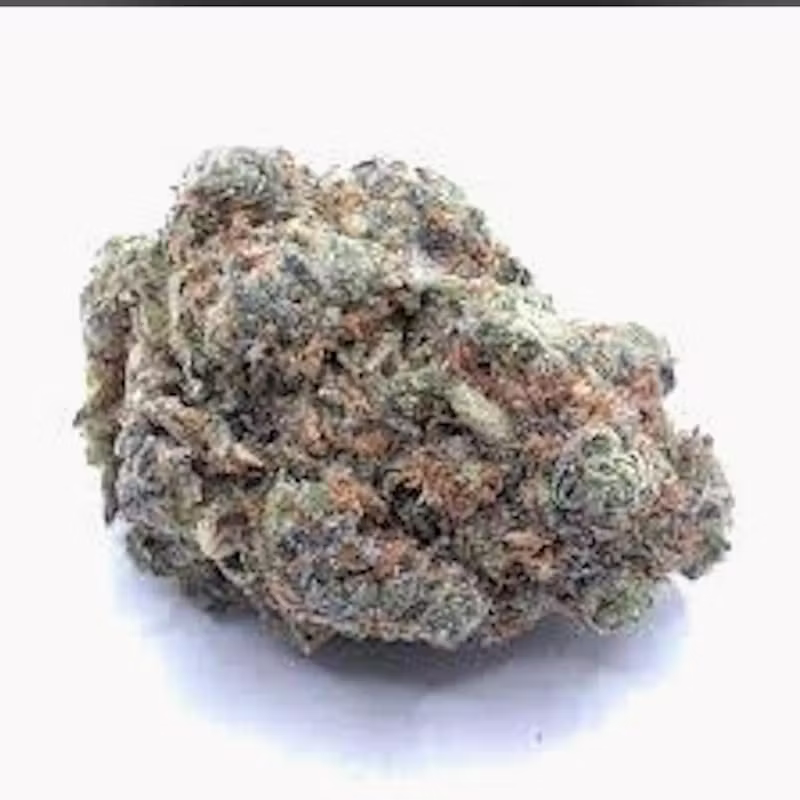 Goodfella's Farm | PLATINUM SUGAR COOKIES HYBRID